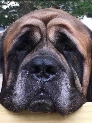 Pottery& Glass Variety