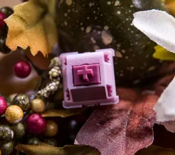 Hanami Dango Pink V1 Switches 18 Packs (Open Box)