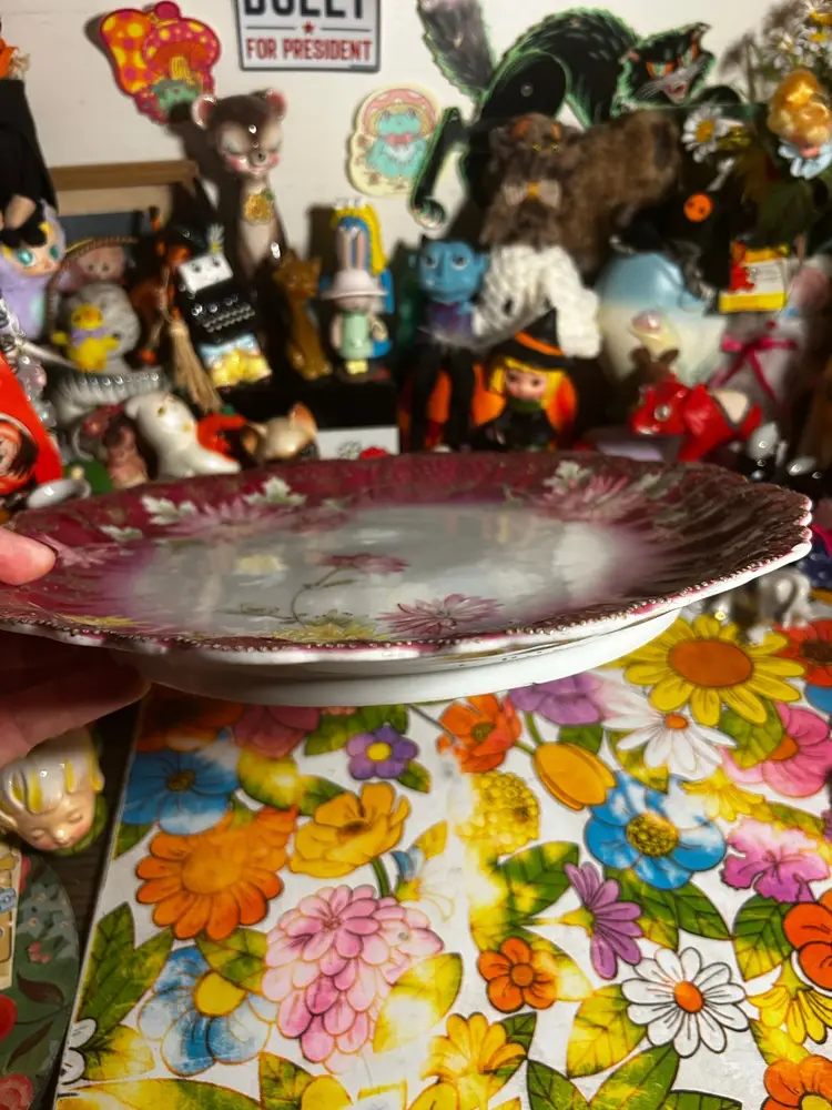 Antique Bavarian Hand Painted Dark Red Plate