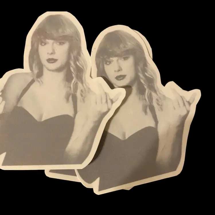 Middle Finger Sticker//Taylor Swift//for The Haters