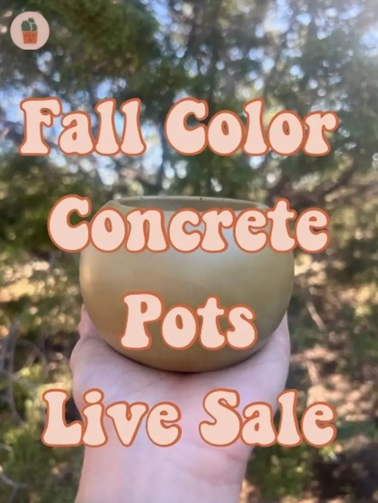 Fall Concrete Pottery Sale Part 2! 