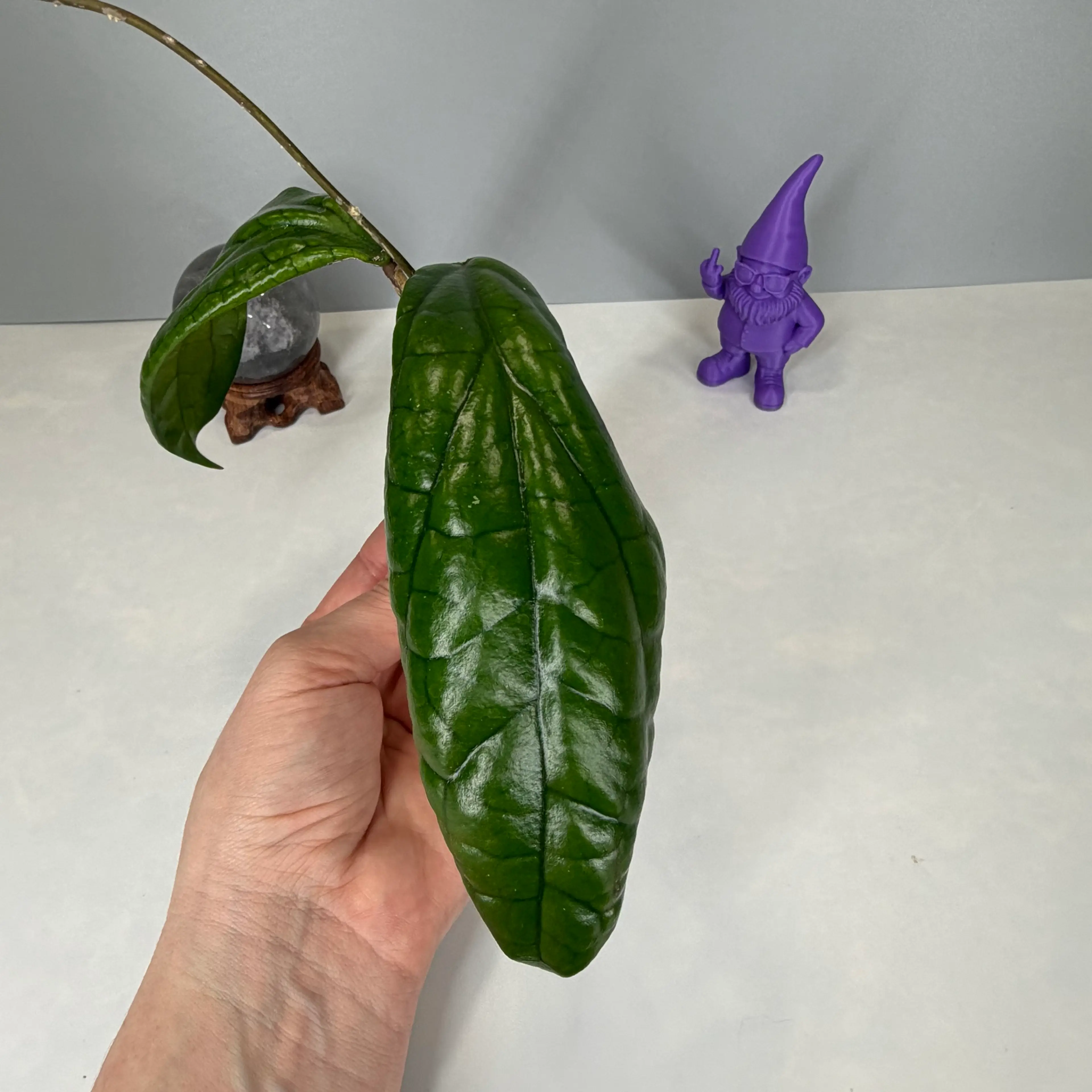 Image 2 of 5
