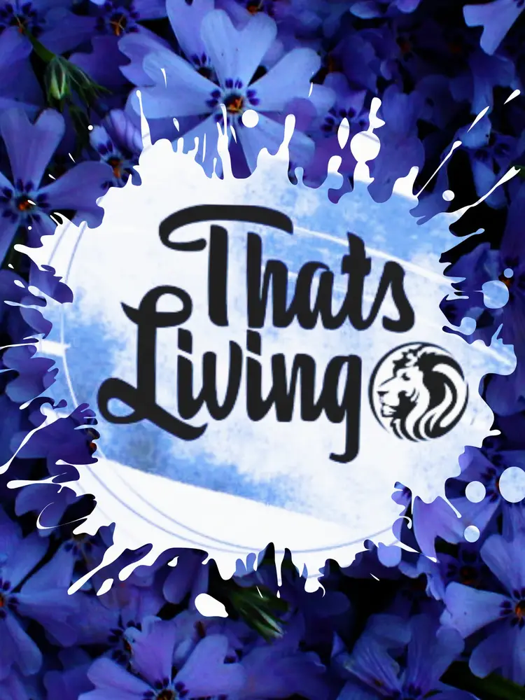 Blowout Sale $2 Starts - .50 Progressive