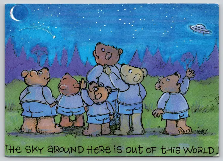 Postcard Sky Around Here is Out of this World Antihomophobic Bears Star Gazing, Astronomy, UFOs  - 14116
