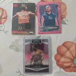 Lot of 16 Wrestling cards. Letter F. Rey Fenix Relic. Faarooq /199.