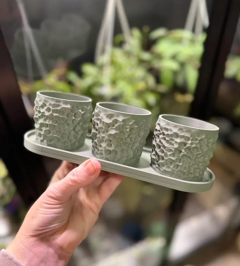 #32 3D printed pot trio with drainage and tray pots are 2 inches each, tray is 8 inches