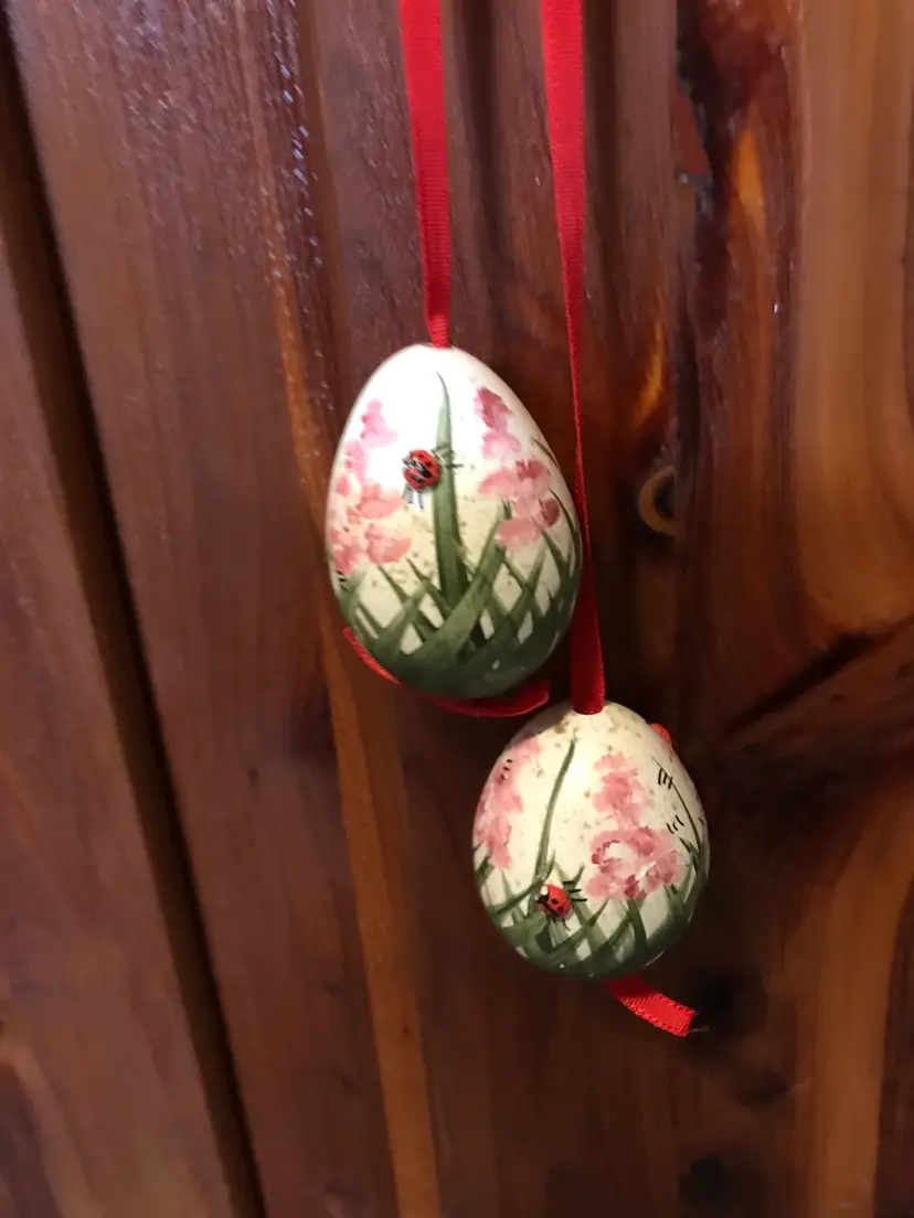 Handpainted real eggs on ribbon ladybug 3D