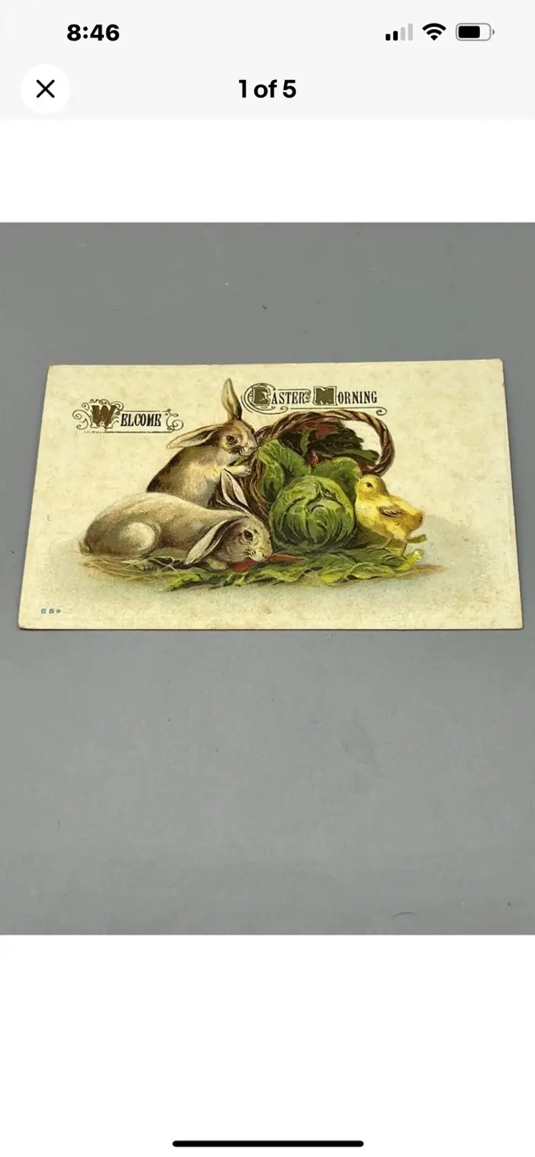 1900s Easter Curteich - Chicago Credit Line Easter Color Post Card Bunny Chick