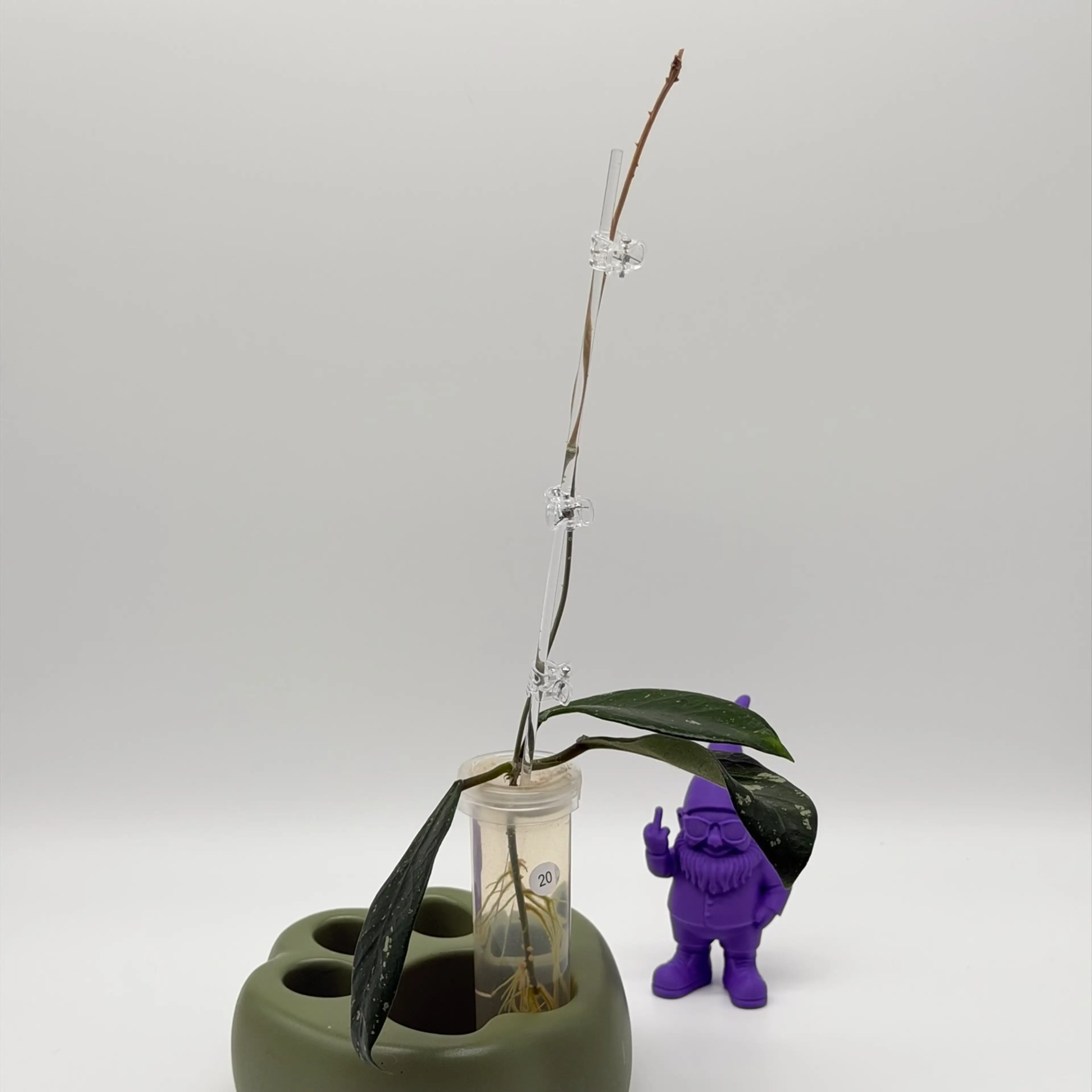Image 3 of 3