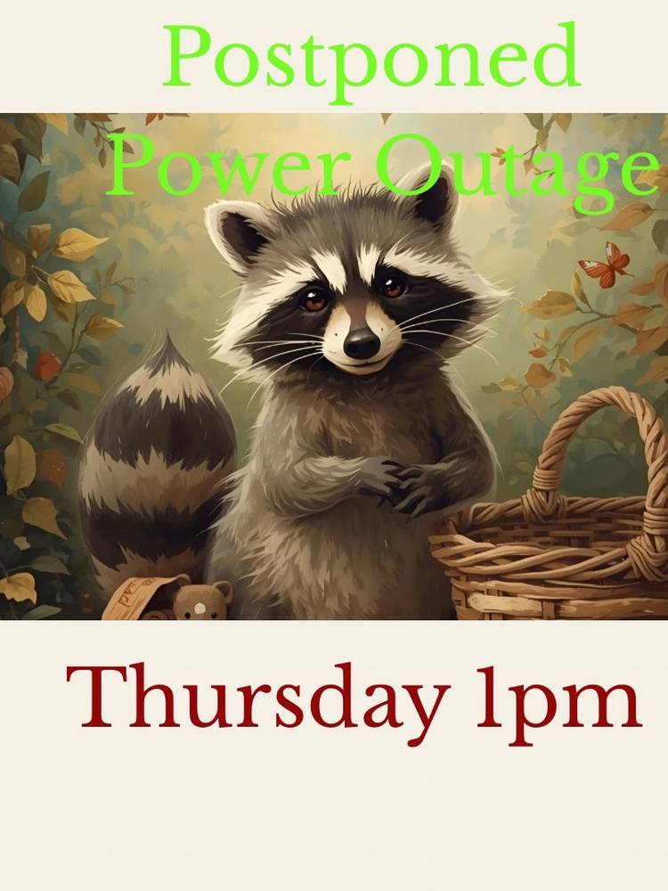 Postponed Due To Random Power Outage Baskets, Handmade Garlands, Pottery 