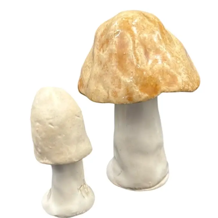 Handmade mushrooms, a set of two made by me, Traci Brown out of the kiln today