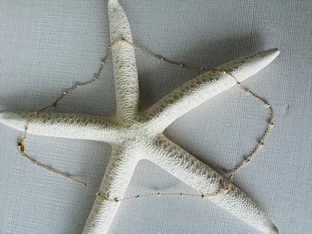 Satellite Dainty Gold And Silver Necklace #72