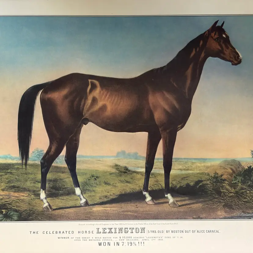 Vintage Ephemera Travelers Insurance Calendar - 4 Pages 15” x 11”  - Pictures With Horses -