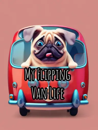 Shop The Van Black Friday Edition!