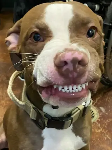 Newly Sourced Items With You In Mind