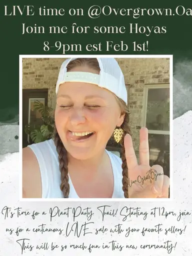 Overgrown Oasis Trail - Hoya Time