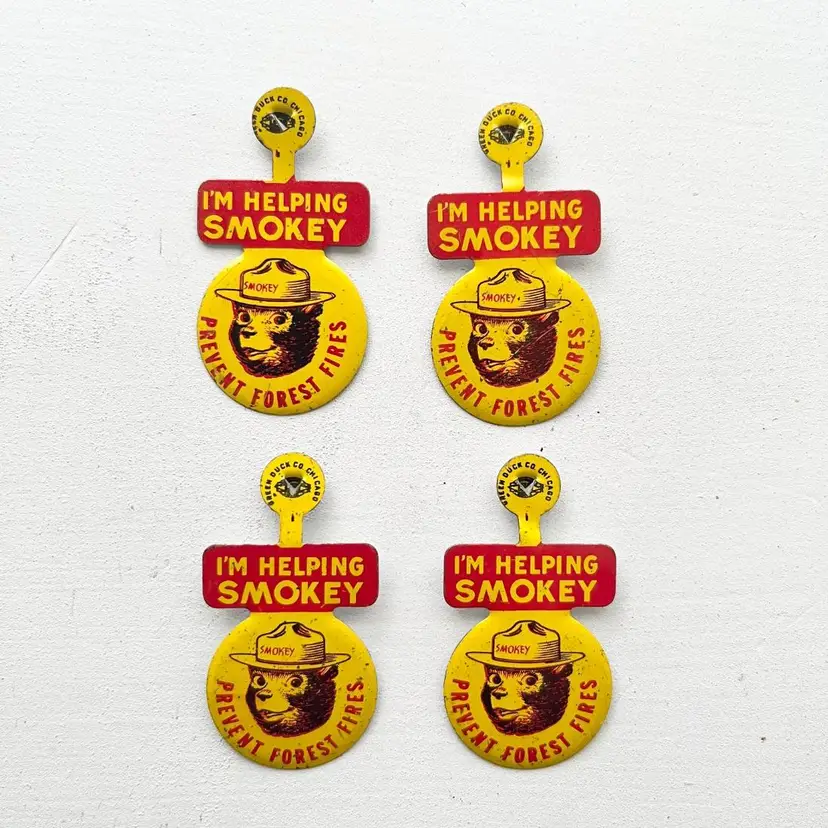 Smokey the Bear Forest Fire Fighting Campaign Metal Lapel Pin Pinback Button Vtg