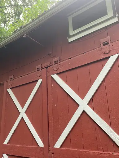 Live From The Barn… Variety Sale