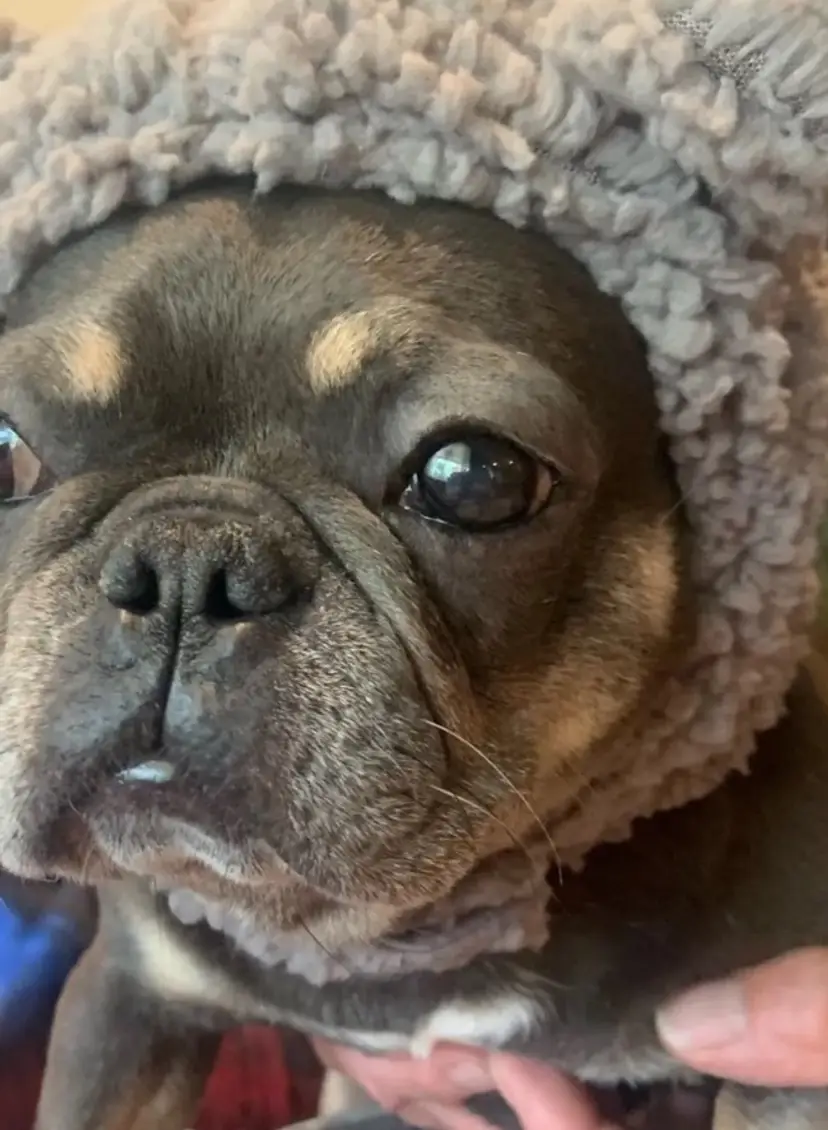 Livestream thumbnail