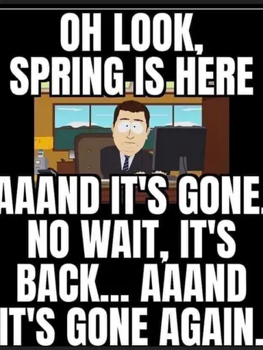 SO………Let’s Shop!! Bags, Blazers & Bling!! O & Birds!!