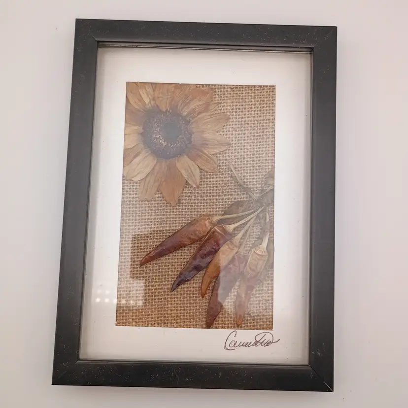 Handmade dried botanical art