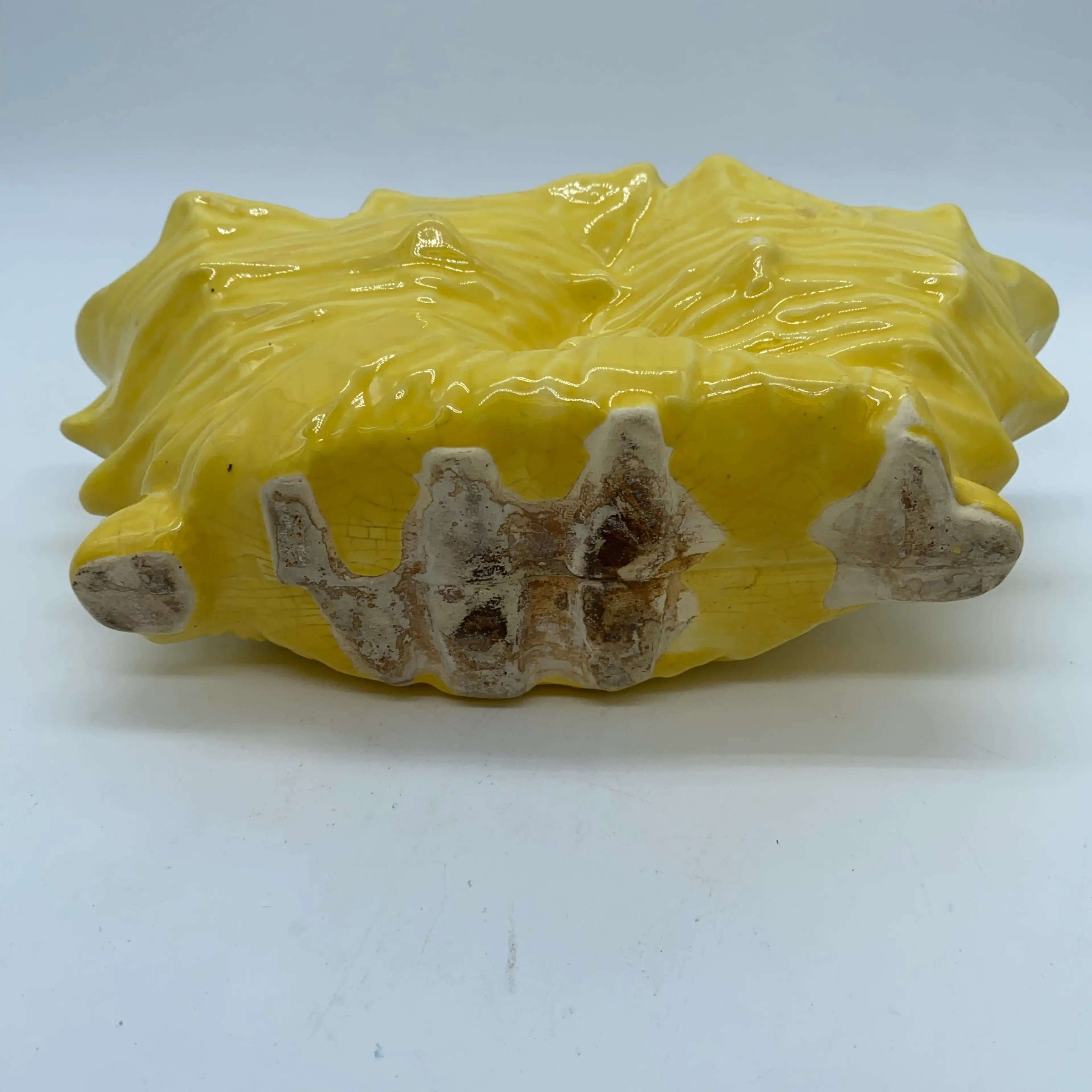 Image 5 of 8