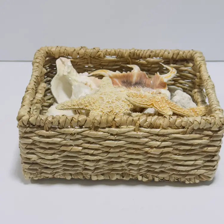 #1294 Lot Box of Sea Shells, Star Fish, Coral, Conch, Snail, Beach Collection, 3lbs of shells