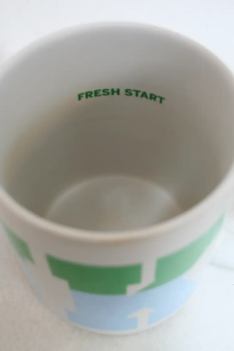 PINK Victoria's Secret Green Fresh Start Cozy Large Coffee Tea Cups Mug Set of 2