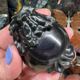 Rainbow Obsidian Dragon Turtle 30Y