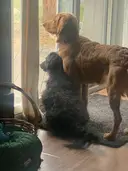 jeberh05reallydillyvintage