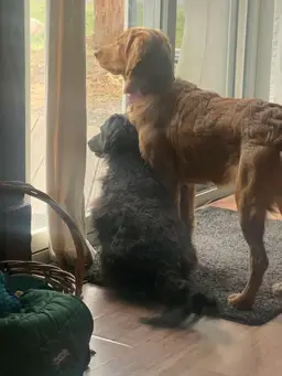 jeberh05reallydillyvintage