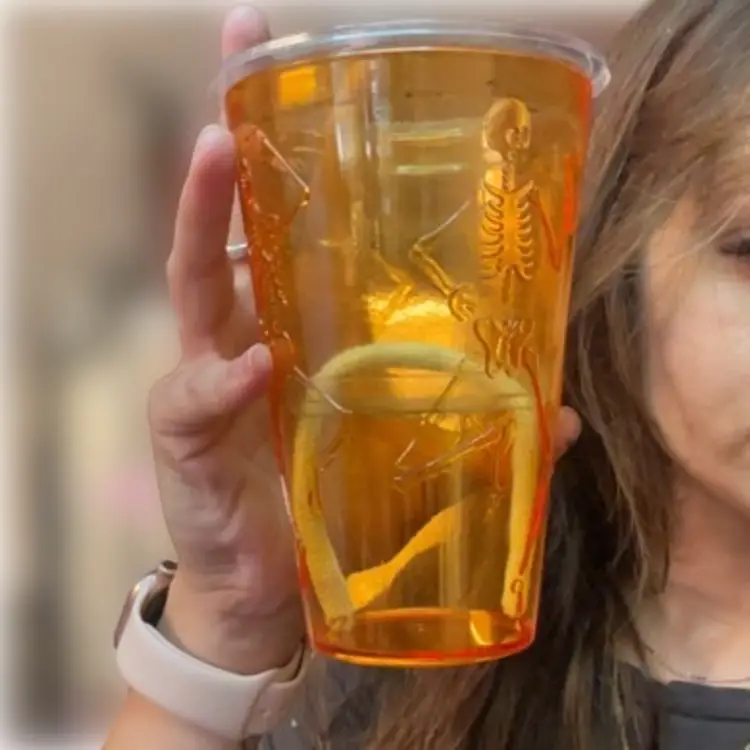 Orange Halloween Self Watering Pot