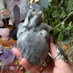 Anatomical Heart Lg Labradorite