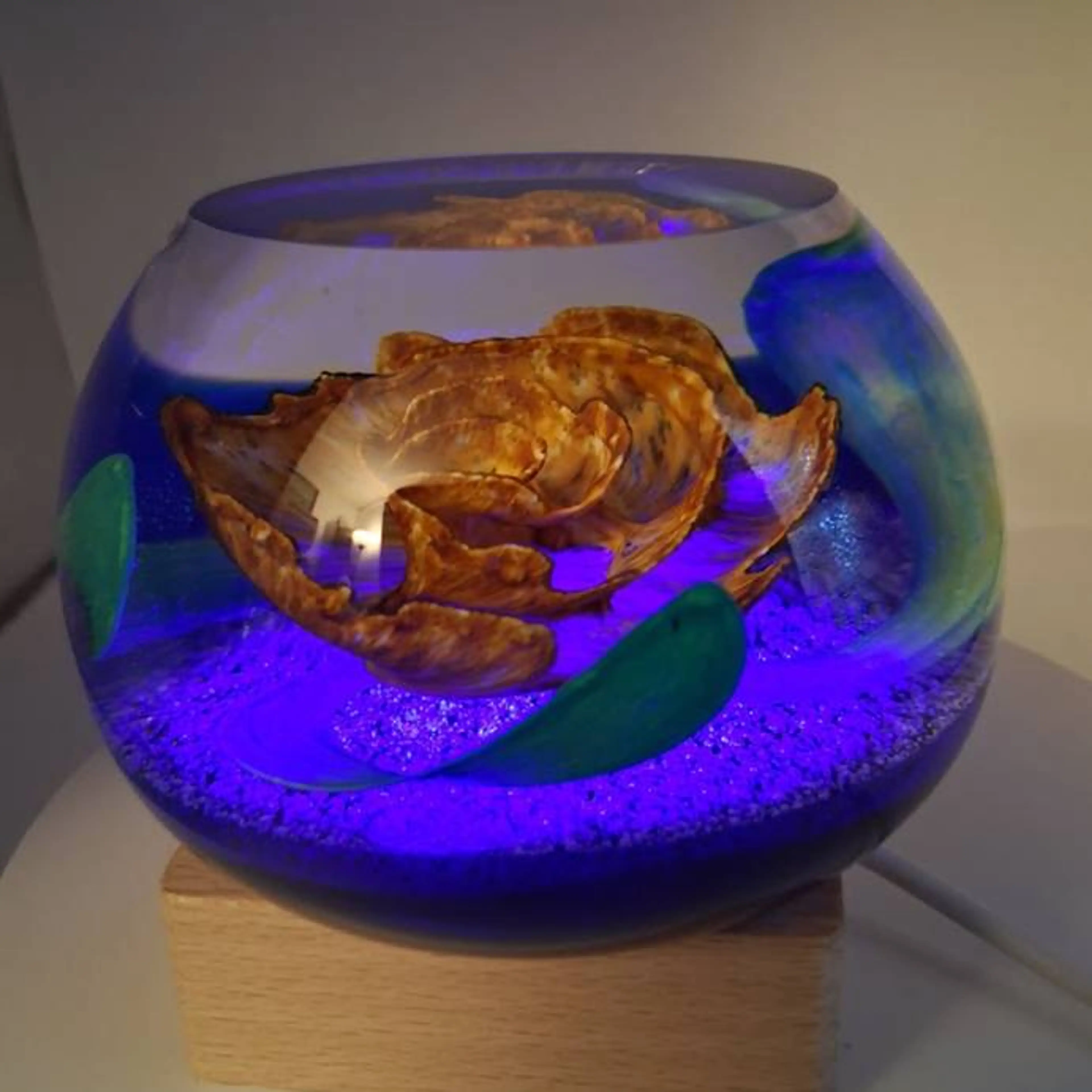 Image 4 of 11