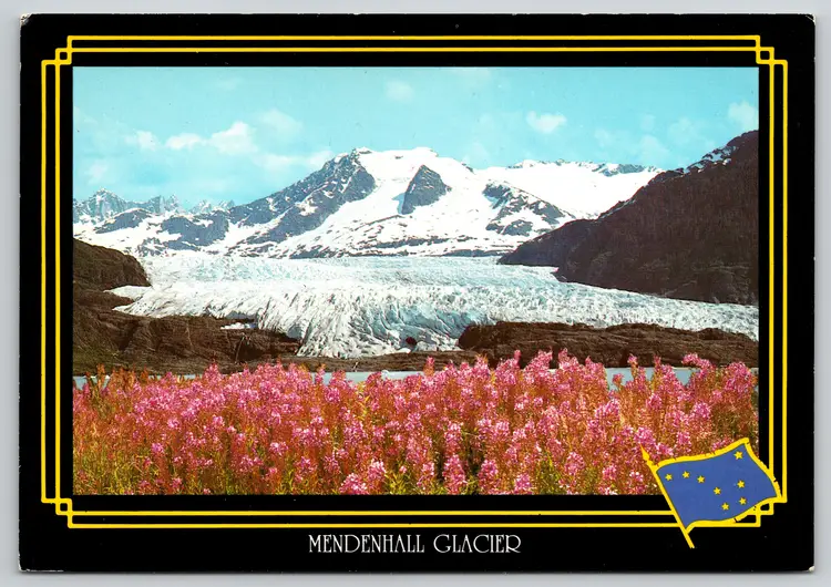 Postcard Fireweed Mendenhall Glacier from Old Skaters Cabin Alaska Glaciology