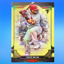 Yadier Molina 73/73 Yellow - 2022 Topps Tripe Threads - St. Louis Cardinals