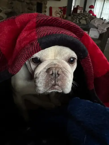 Monday Morning Wake Up W/ JunkyardDawg1