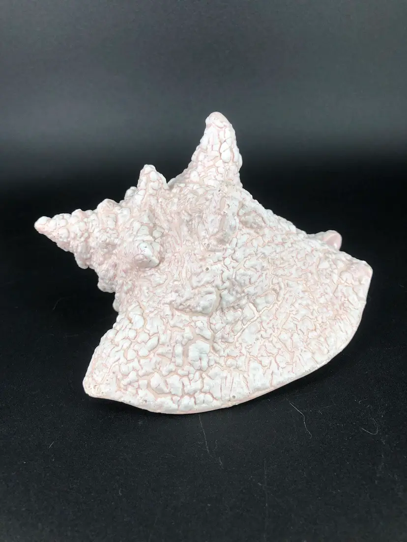 Ceramic Conch Sea Shell