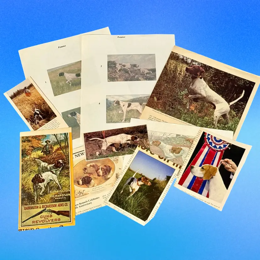 Junk Journal B Lot/10 Pieces Pointer Hunting Dog Vintage Ephemera