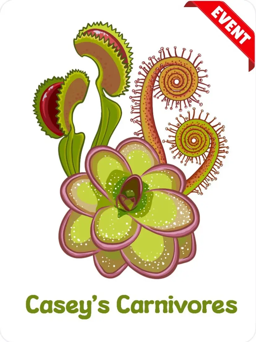 Livestream thumbnail