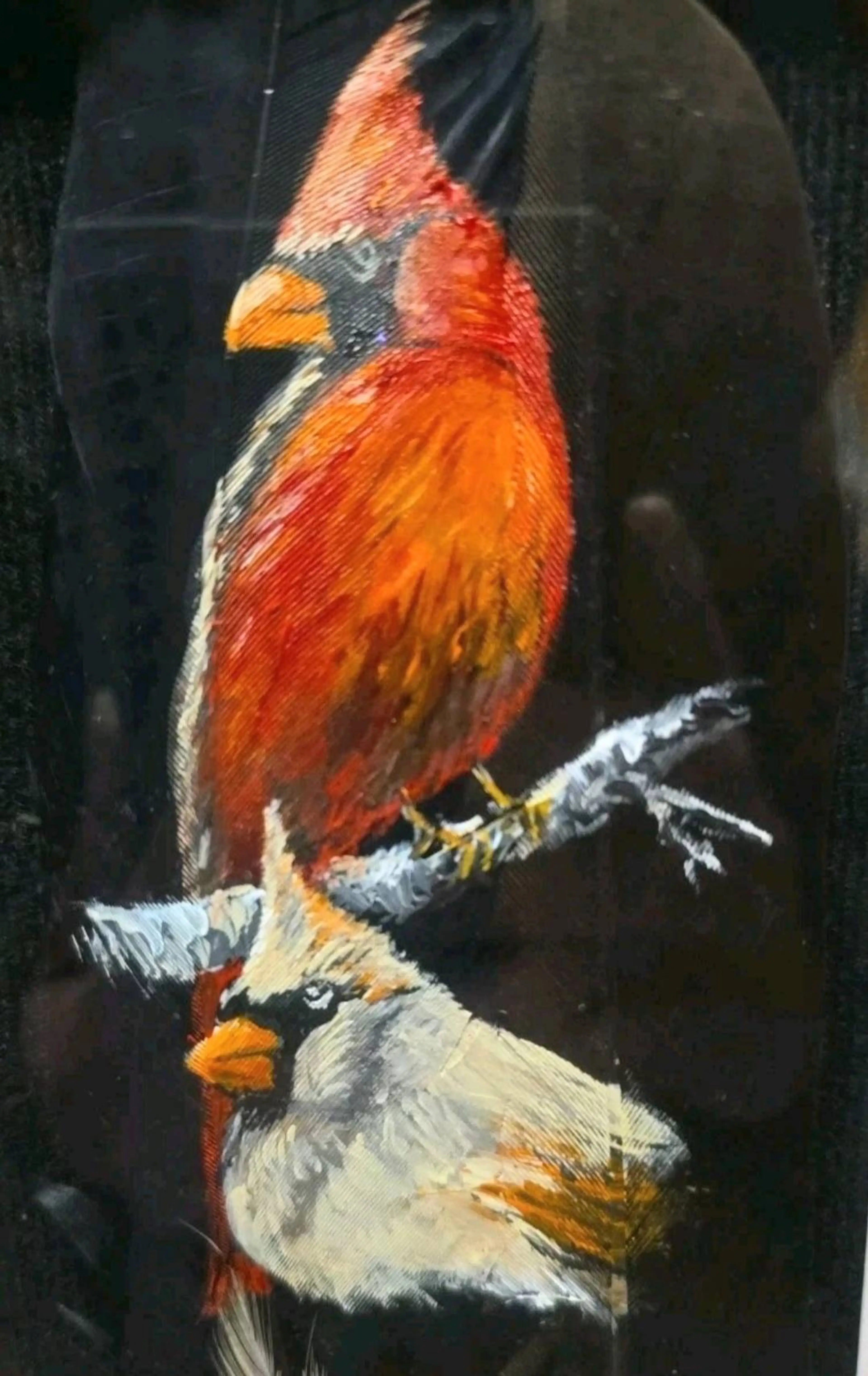 Image 3 of 5