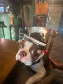 highermindedtreasure