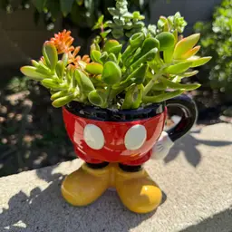 Disney’s Mickey Mouse Mug Succulent Planter