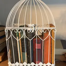 Bird Cage And Old Books Vignette