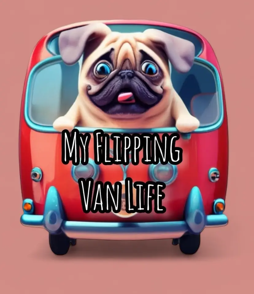 Livestream thumbnail