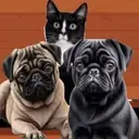 Happa’s Hope Chest