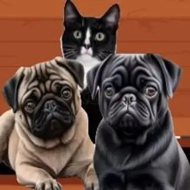 Happa’s Hope Chest