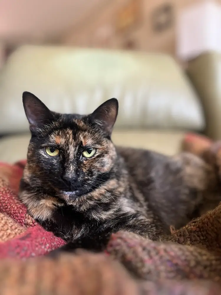 Fresh Finds! Lots Of Pottery And Glass