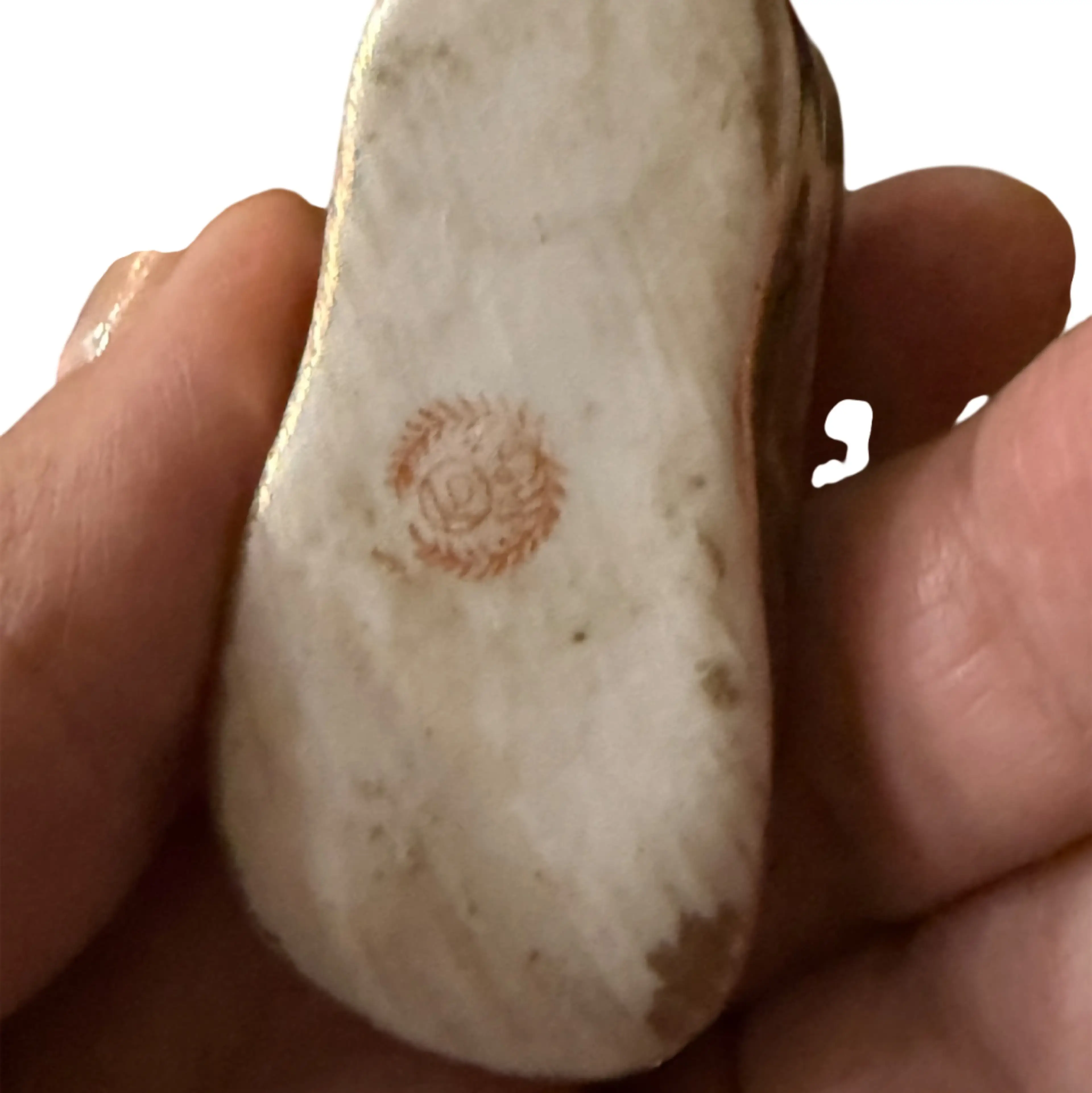 Image 2 of 3