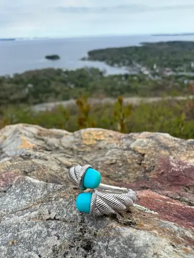 Sterling Rings/Jay King Earrings!!! Come Hang! 